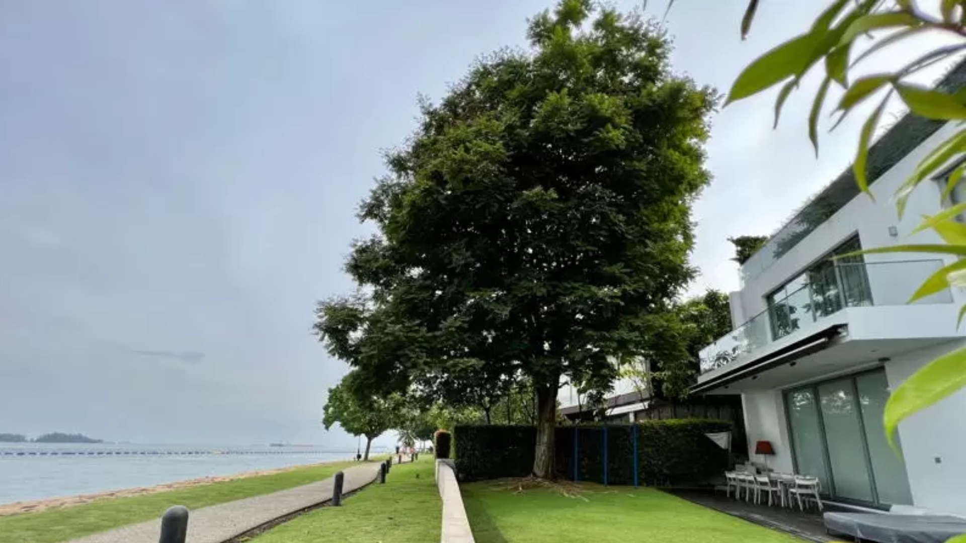105 Cove Grove Singapore luxury landed homes back