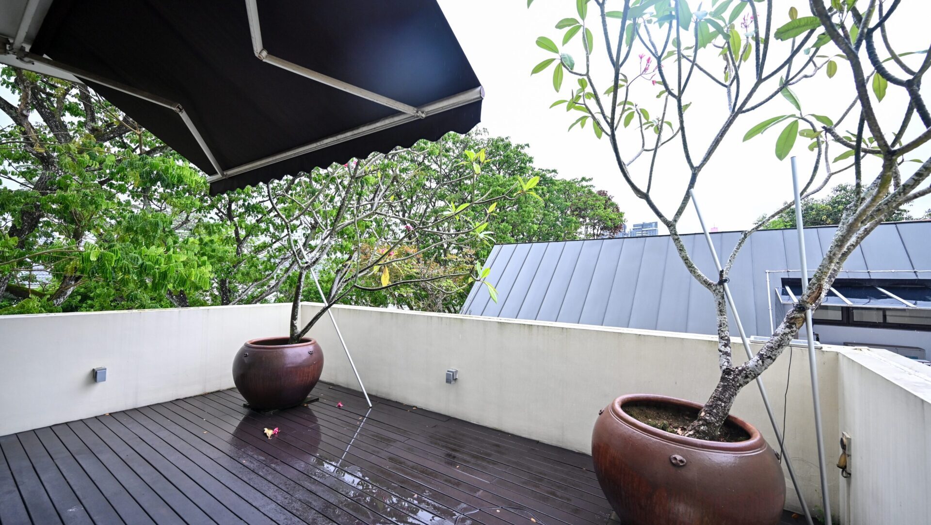 Grove Drive Rooftop Garden 2 Luxury Property Singapore Luxury Homes