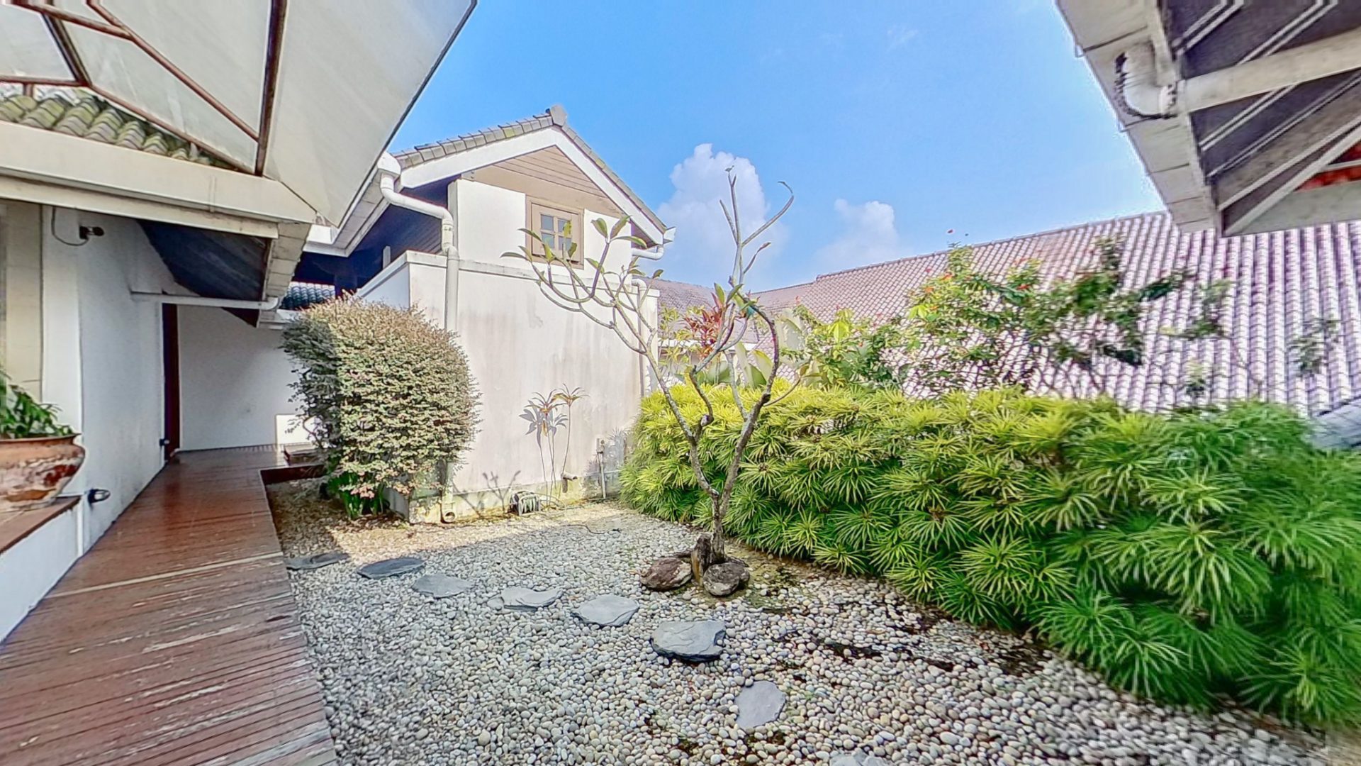 Kilburn Estate Singapore Luxury Landed Homes Garden